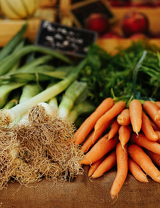 Fresh Organic Vegetables