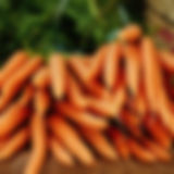 Fresh Organic Vegetables