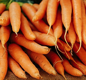 Fresh Organic Vegetables