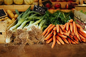 Fresh Organic Vegetables