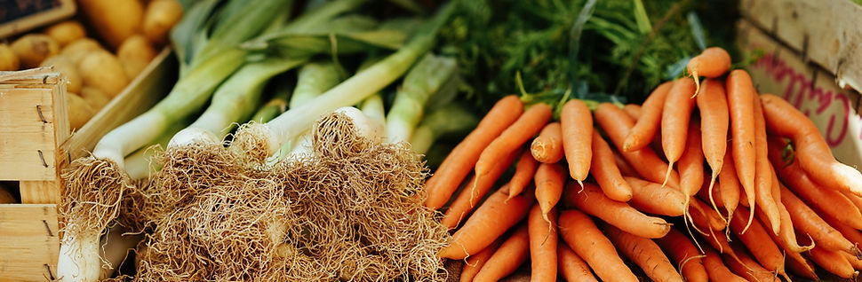 Fresh Organic Vegetables