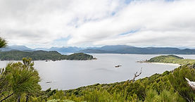 Edwardson Surname History