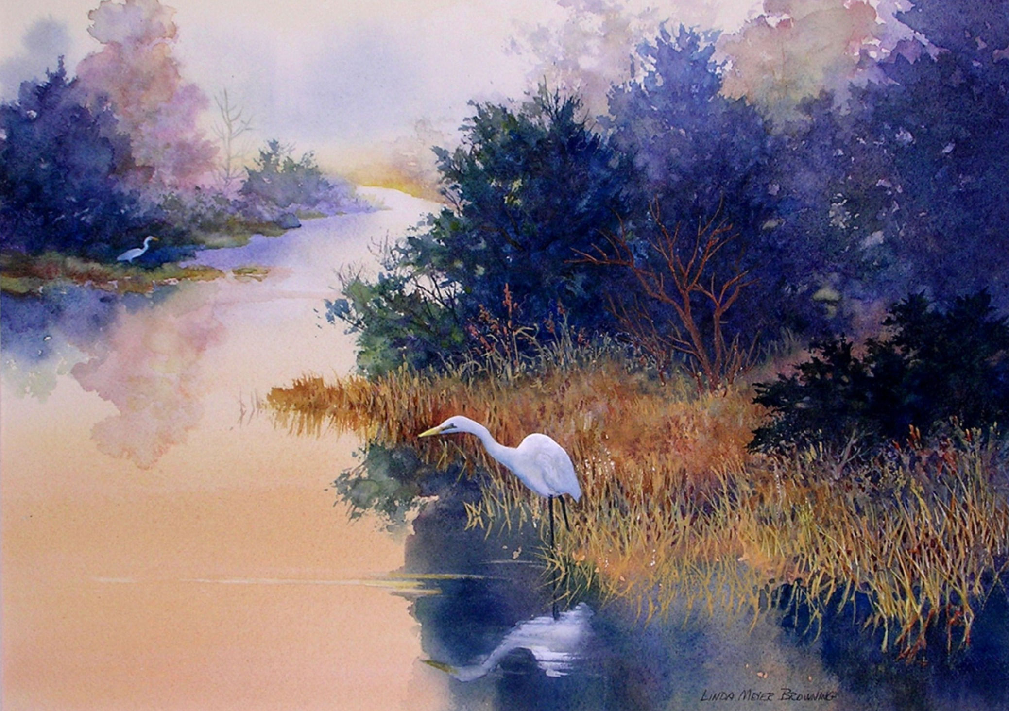 Before the Sun Burned Bright