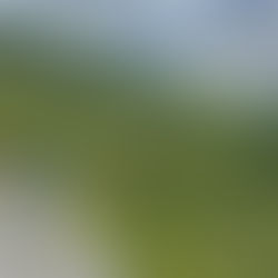 Conquering the Trail Verbier by UTMB 