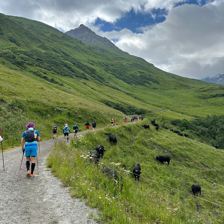 Conquering the Trail Verbier by UTMB 