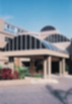 Polycarbonate canopy