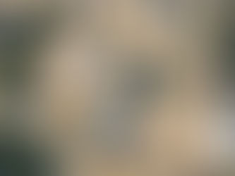 Site Mapping from the Sky: How Drones Are Redefining Project Planning