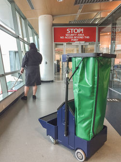 Dex 2 Cart