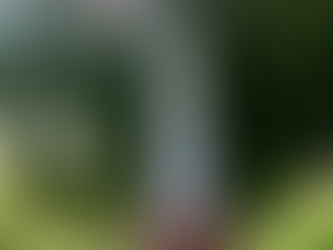 エースを狙え♡