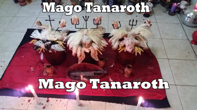 foto nago 001.png