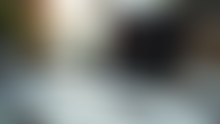 Boost Your Business with All-in-One Software Reviews