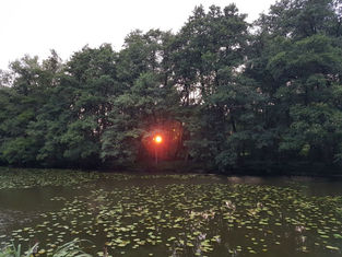Lieber Abendgruß/ Evening greetings