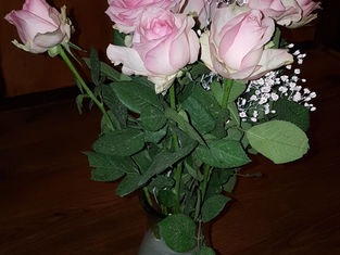 Ein schönes Geschenk/A beautiful present