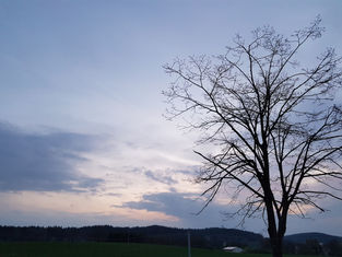 Lieber Abendgruß/ Evening greetings