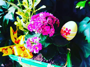 Frohe Ostern - Happy Easter