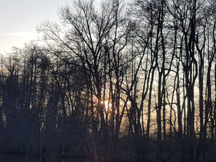 Lieber Abendgruß/ Evening greetings