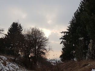 Lieber Abendgruß/ Evening greetings
