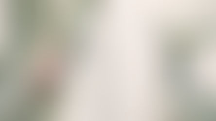 Recortes Contemporâneos | O que Acontece Quando a Arte é Feita para Agradar?