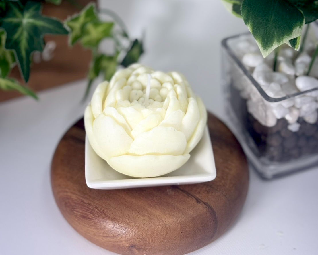 春燈花-화려한 불빛 - 모란(보탄) -