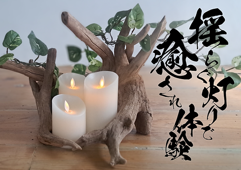 流木と植物に囲まれたキャンドルの灯りと癒しの演出