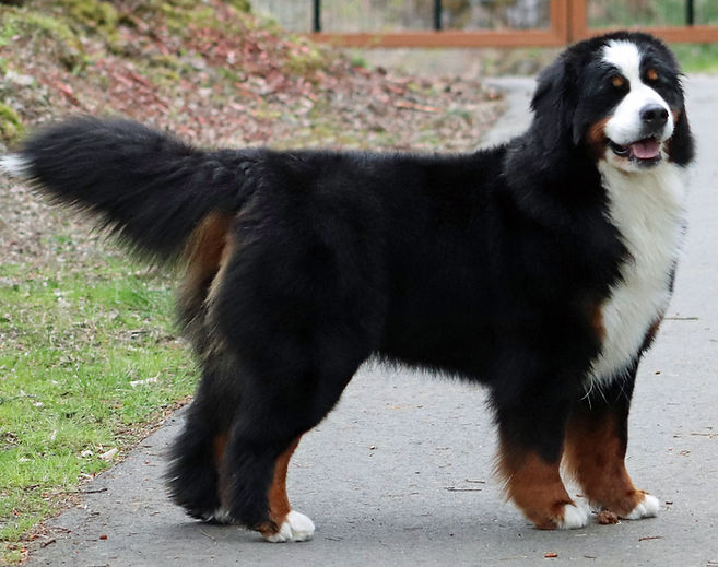 Crush ap  2022 again.jpg