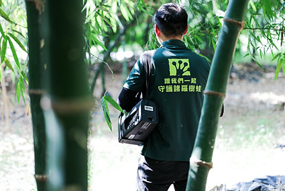 諸羅樹蛙.jpg