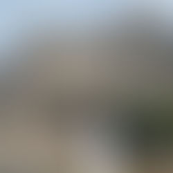 鹿児島マラソン2025 ケアボランティアに参加してきました。