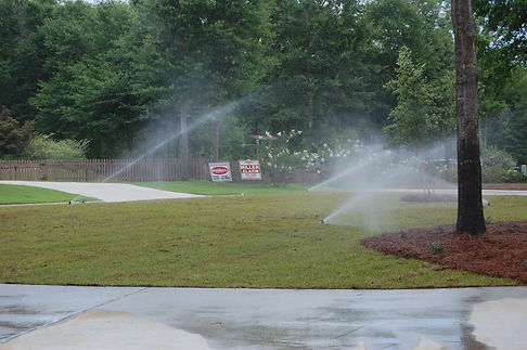 Irrigation (2).JPG