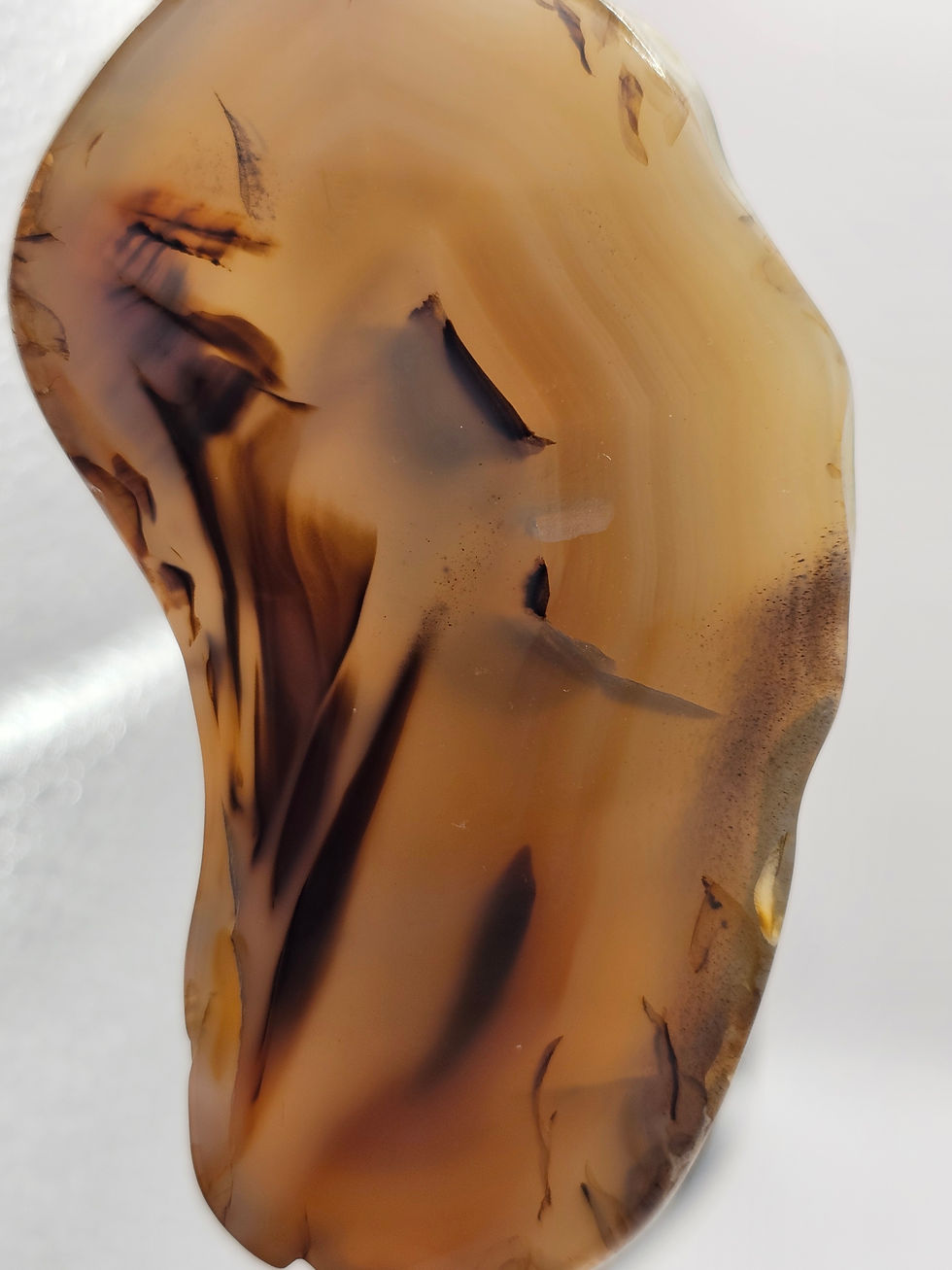 Thumbnail: Montana Moss Agate Tumbled Polished Slab