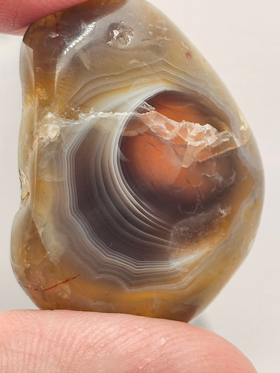 Thumbnail: Botswana Agate Tumbled Cabochon 