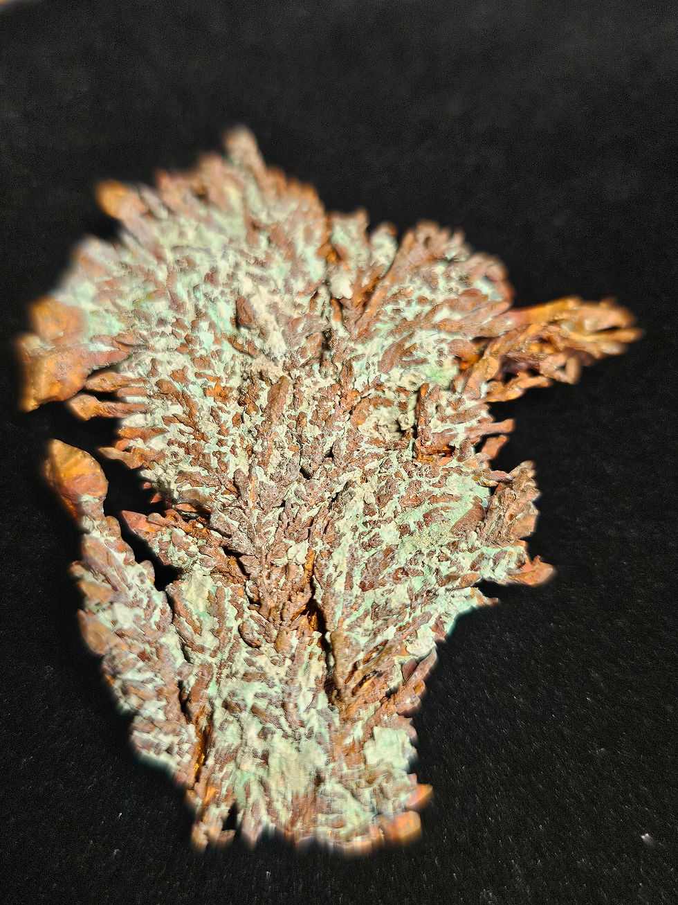 Thumbnail: Dendritic Copper Crystal