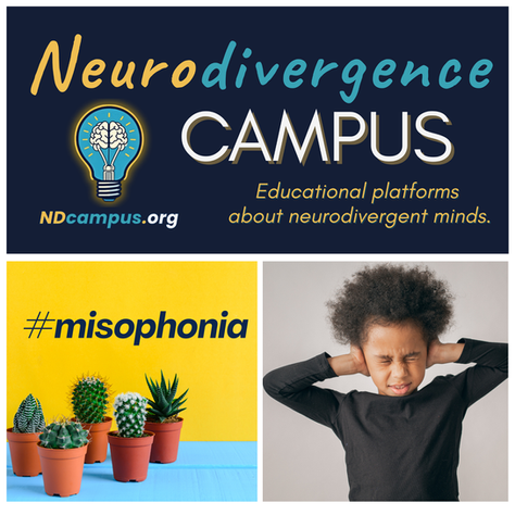 ND Annex: Misophonia