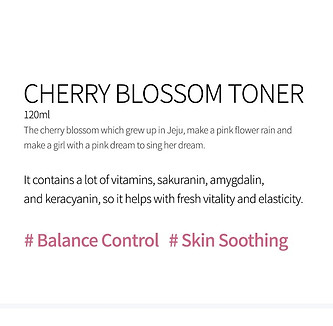 cherry blossom eng.jpg