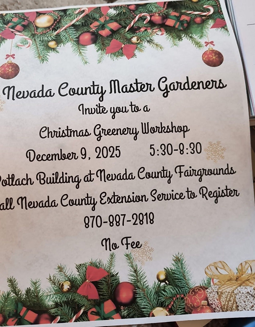 Nevada County Master Gardeners "Christmas Greenery" Workshop