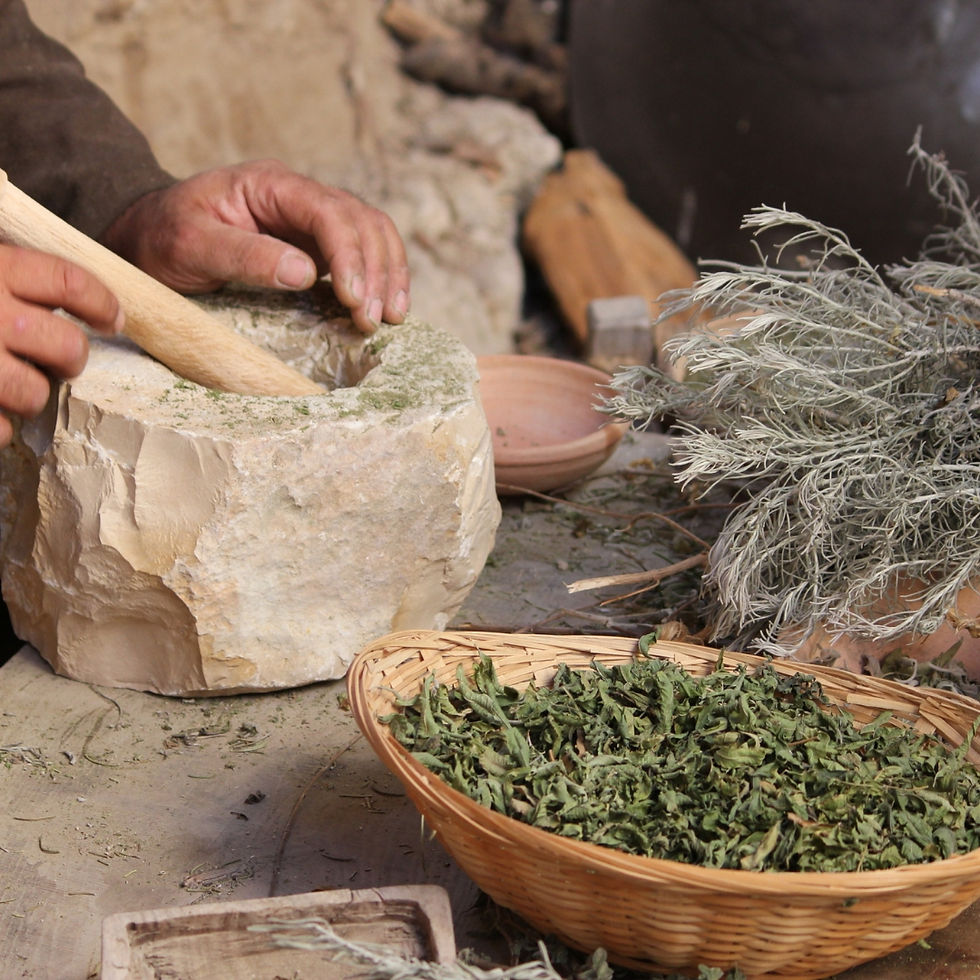 Rishikesh naturopathy and holistic healing therapies by Niranjan Wellness Naturopathy Centre – natural treatment in India