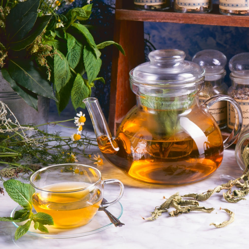 Sydney holistic wellness and naturopathy programs by Niranjan Wellness Naturopathy Centre – global natural healing experts