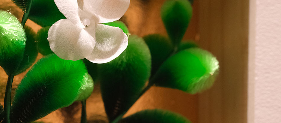 作品需要縱深嗎？—從一境一鏡到生活植物的內在提問