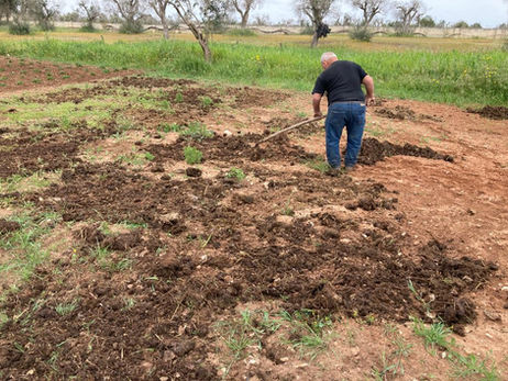 Preparazione orto bio 🌱