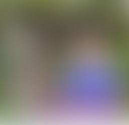 마산출장마사지 30분 이내로 무조건 도착 가능한 조건만남 사이트