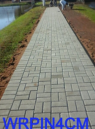 14568195_534802113388358_148253332424851