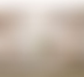 【8th.SHOP紹介】 17.じばさんらんちき / 地場産業 / 兵庫