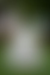 Twin's First Birthday