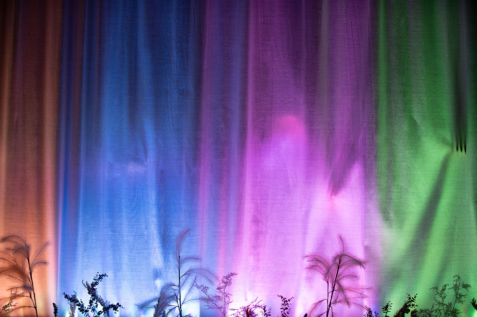 VUSC ISR_Corporation_2025_Credit Damian Vincenzi_81