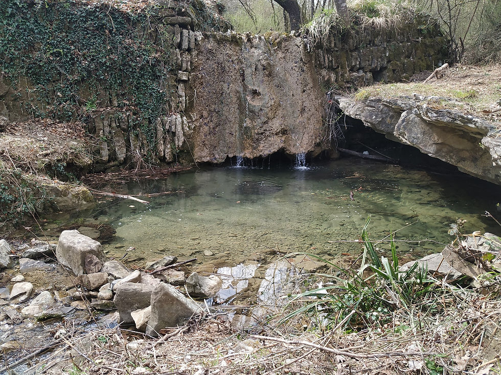 The small waterfall belonging to the park