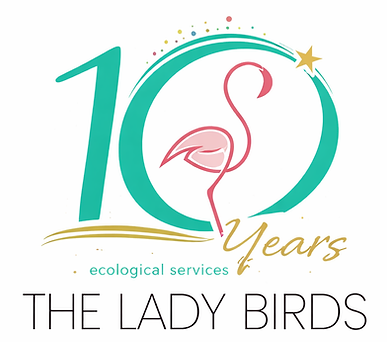 file_00000000098871f78e75ce13cf6474d5 (1).png