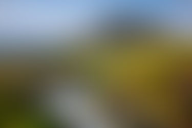 Mindfulness Revisited