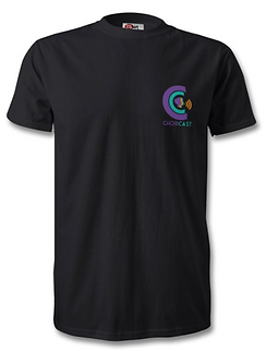 Unisex Luxury Tee (small logo)