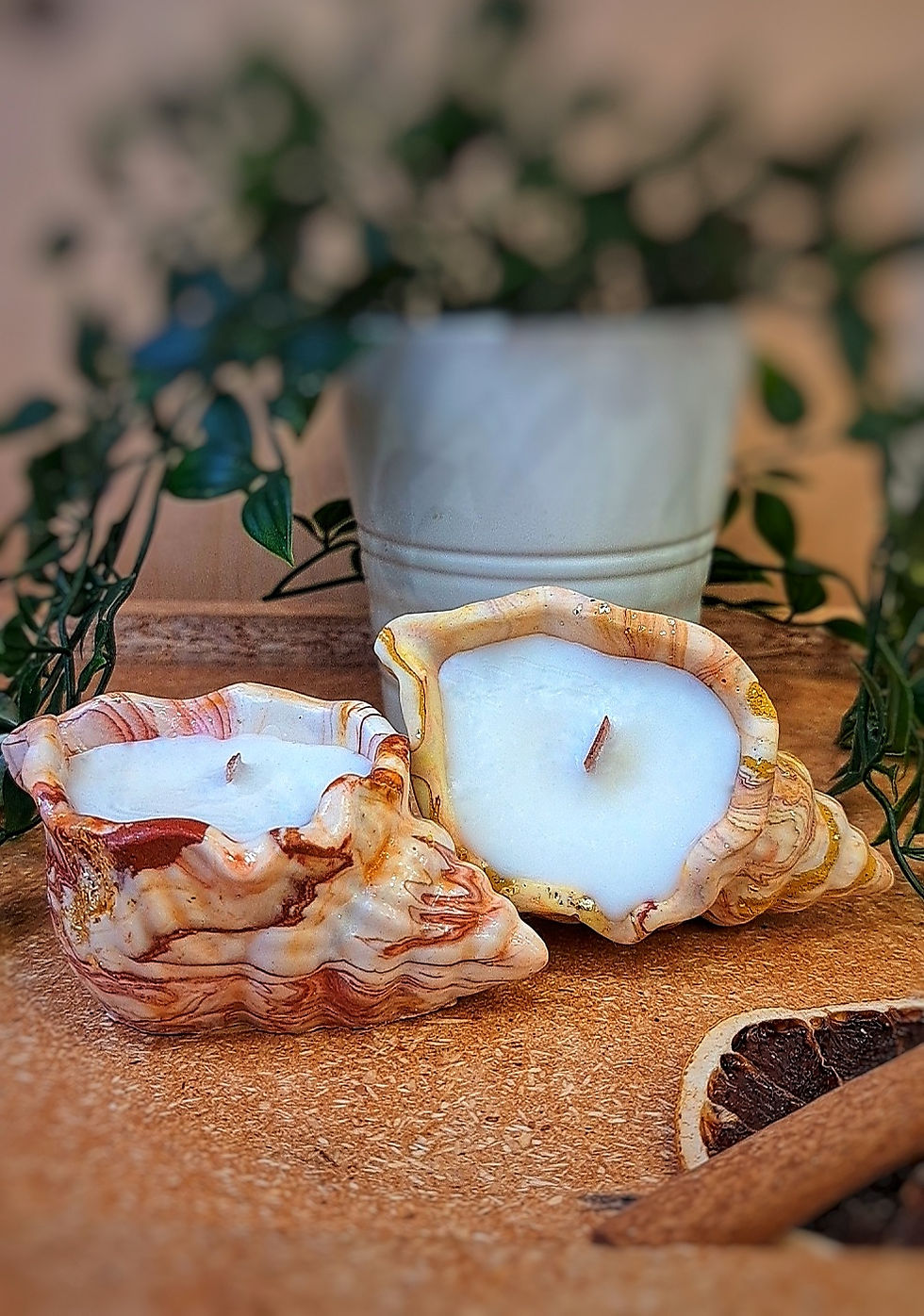 Miniature : Bougie coquillage SHELL personnalisée
