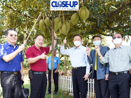 "หอการค้าไทย"ดันทุเรียนภูเขาไฟ-คู่ขนานพัฒนาโคขุนดอกลำดวน"กระตุ้นเสรษฐกิจศรีสะเกษ