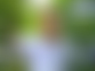 "สายเหนียว ต้องหนู กันภัย สายอนามัย ต้องหนู กัญชา"